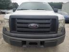 FORD F150 photo