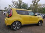 KIA SOUL ! photo