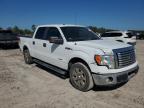 FORD F150 SUPER photo