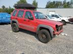 JEEP LIBERTY SP photo