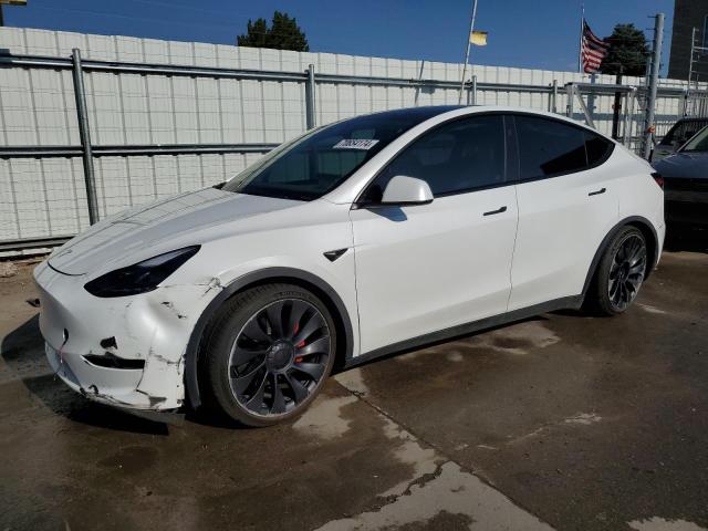 2023 TESLA MODEL Y #2979663619