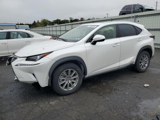 LEXUS NX 300H BA 2021 white  hybrid engine JTJDJRDZ4M5014758 photo #1