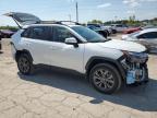 TOYOTA RAV4 XLE P photo