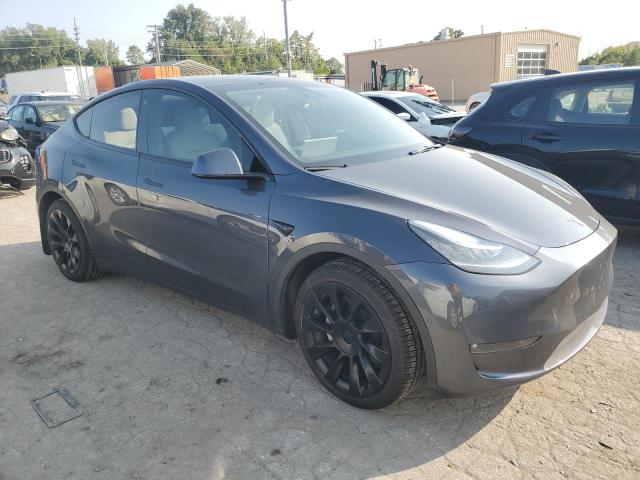 2021 TESLA MODEL Y - 5YJYGAEE6MF256854