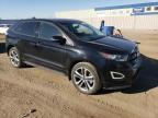 FORD EDGE SPORT photo