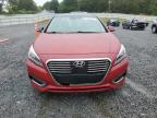 HYUNDAI SONATA HYB photo