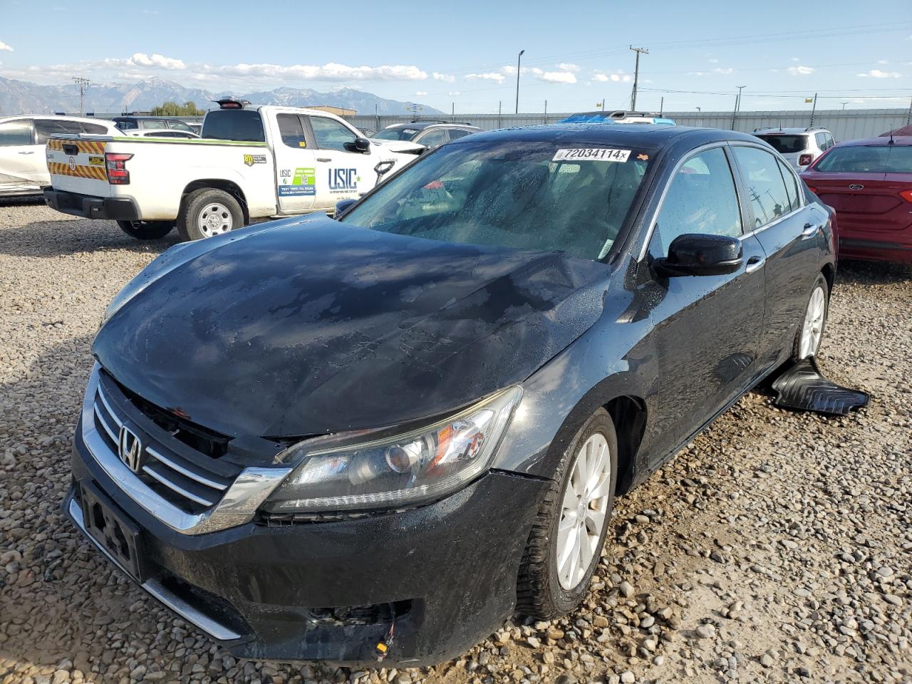 Lot #3021141237 2014 HONDA ACCORD EXL