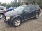 FORD ESCAPE HYB photo