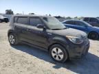 KIA SOUL photo