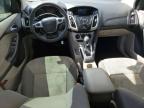 FORD FOCUS SE photo