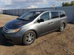 HONDA ODYSSEY EX photo