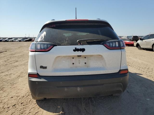 2020 JEEP CHEROKEE L - 1C4PJLLB3LD577807