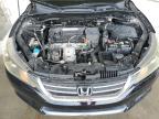 HONDA ACCORD SPO photo