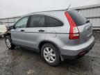 HONDA CR-V EX photo