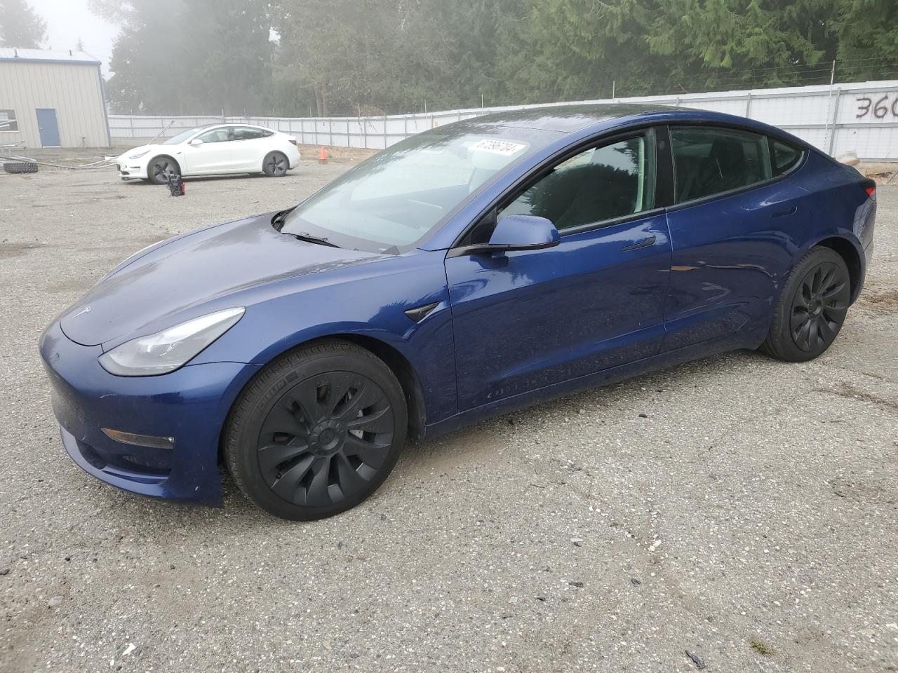 Lot #2986514303 2022 TESLA MODEL 3