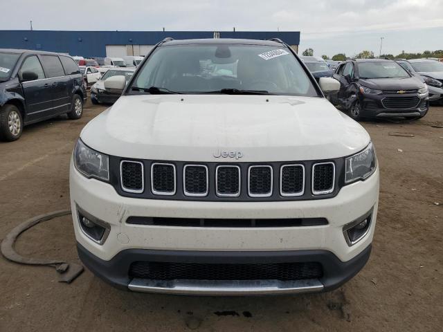 2019 JEEP COMPASS LI - 3C4NJDCB0KT813660
