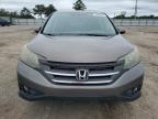 HONDA CR-V EX photo