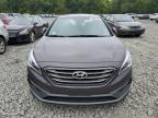 HYUNDAI SONATA SPO photo