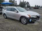 HONDA ACCORD EXL 1HGCP3F85CA025595 снимка