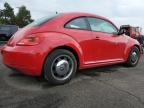 VOLKSWAGEN BEETLE photo