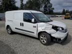 RAM PROMASTER photo