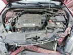 HONDA ACCORD CRO photo