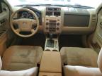 FORD ESCAPE XLT photo