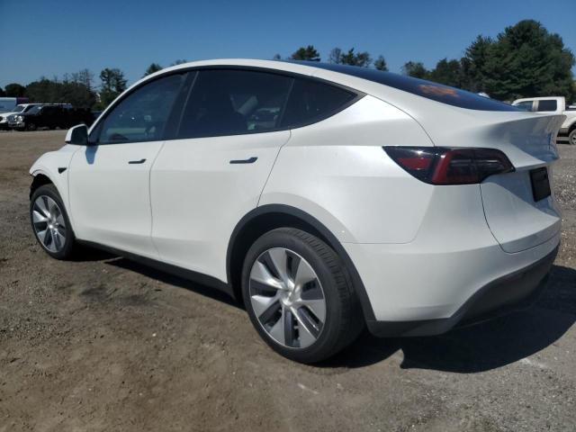 VIN 7SAYGDEE4PA160369 2023 Tesla MODEL Y no.2