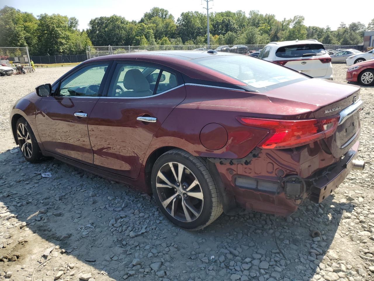 Lot #2974716050 2016 NISSAN MAXIMA 3.5