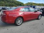 CHEVROLET MALIBU 2LT photo