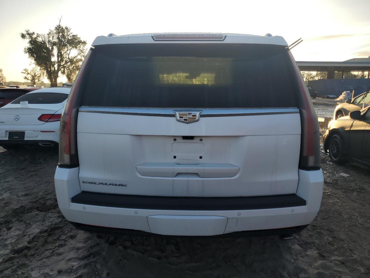 Lot #2986499266 2020 CADILLAC ESCALADE P