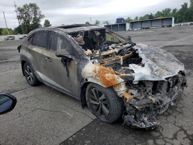 2020 LEXUS NX 300H LU - JTJHJRDZ8L2132118