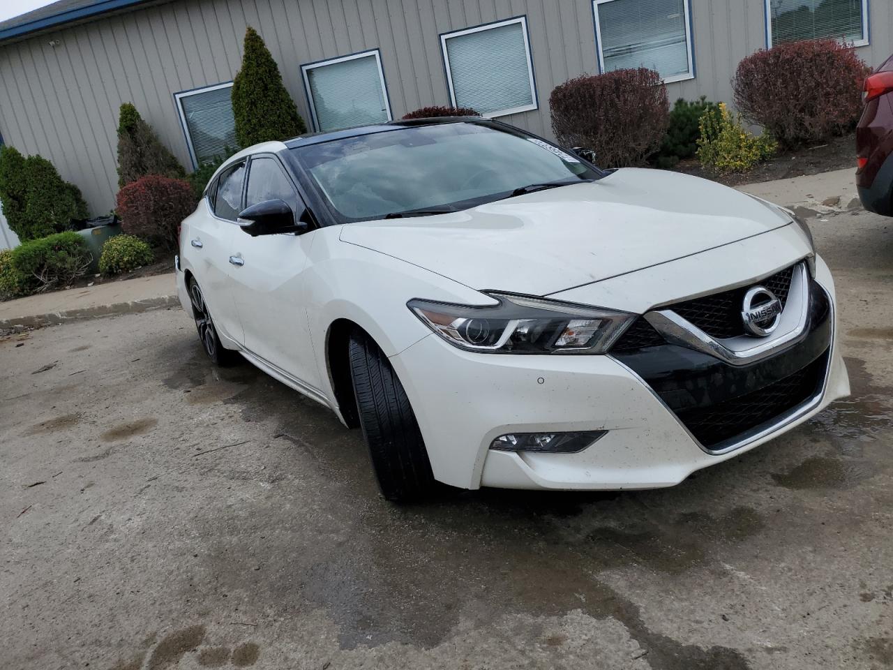 Lot #2928686828 2016 NISSAN MAXIMA 3.5