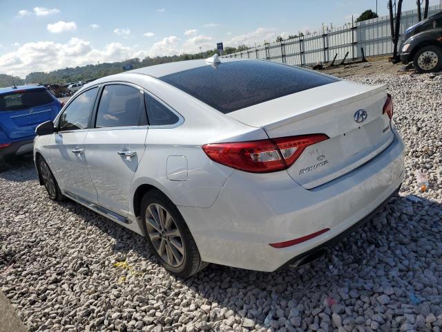 2016 HYUNDAI SONATA SPO - 5NPE34AF7GH392706