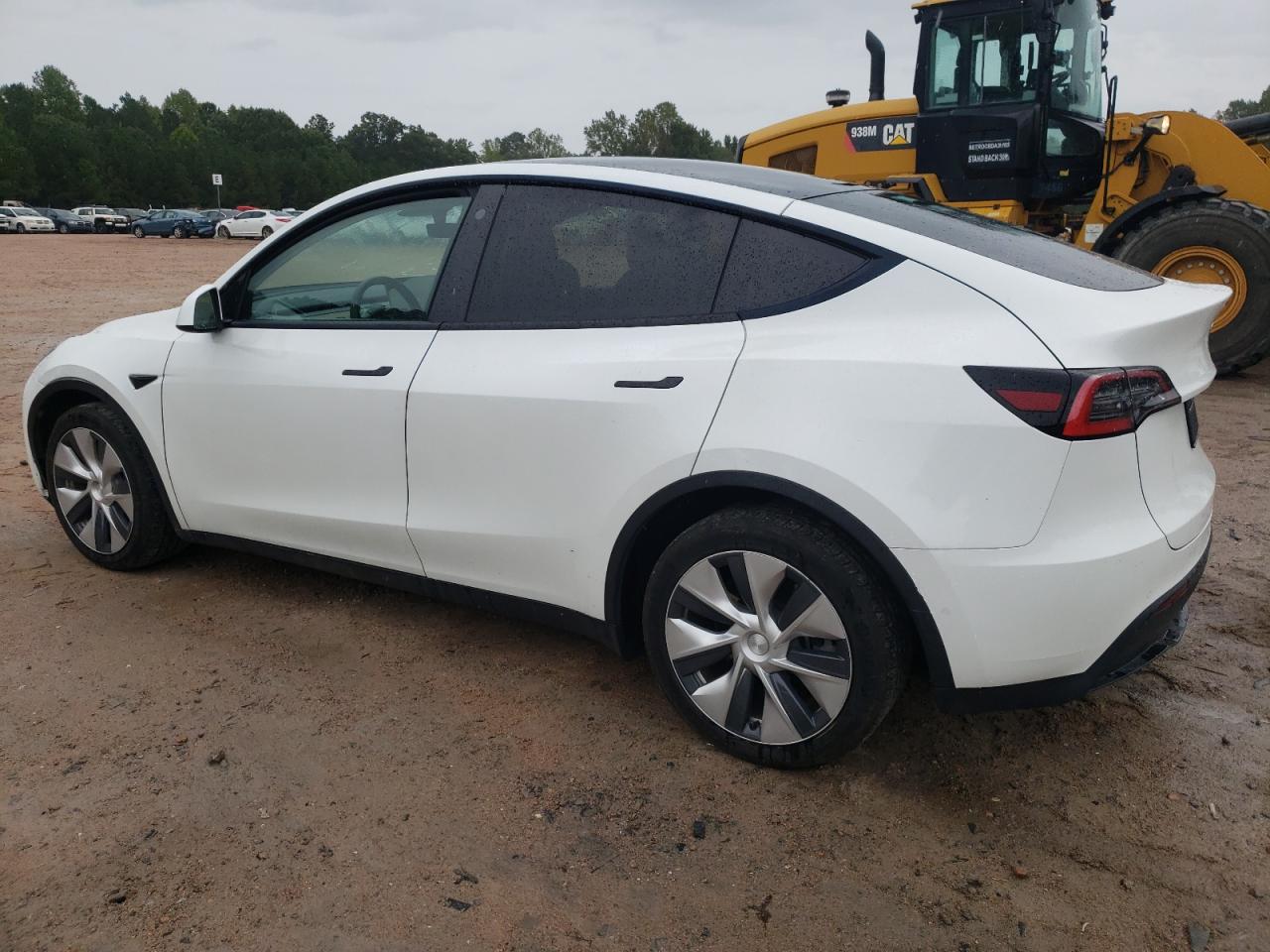 Lot #2971800014 2021 TESLA MODEL Y