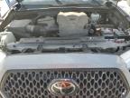 TOYOTA TACOMA DOU photo