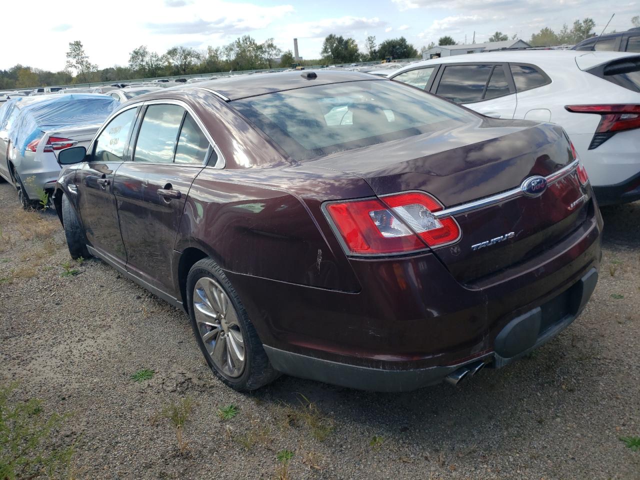 Lot #2874174724 2010 FORD TAURUS LIM