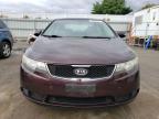 KIA FORTE EX photo