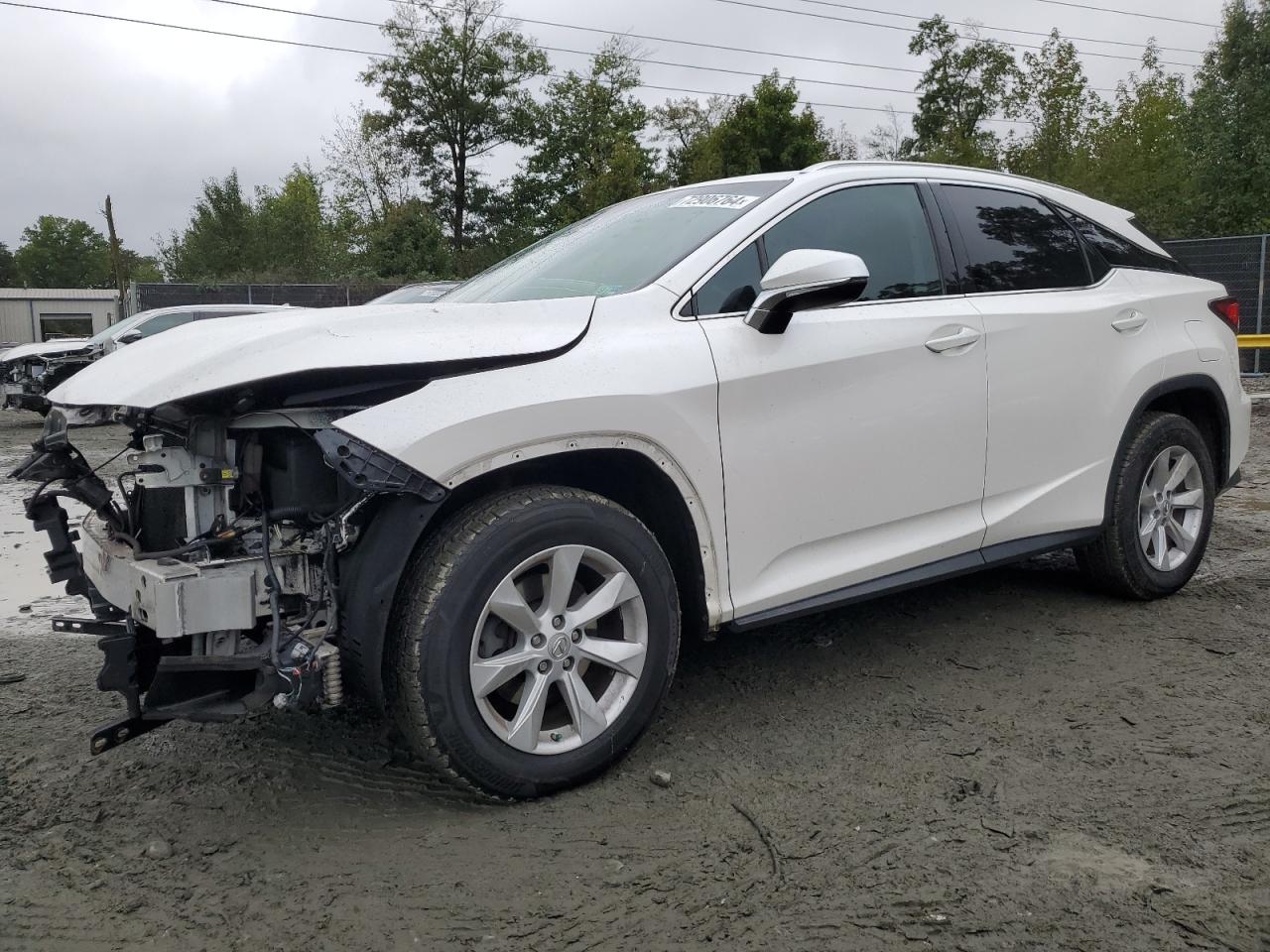 Lot #2921503652 2017 LEXUS RX 350 BAS