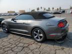 FORD MUSTANG photo