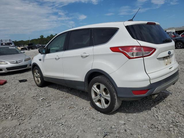 VIN 1FMCU0GX7FUA45521 2015 FORD ESCAPE no.2