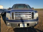 FORD F150 SUPER photo