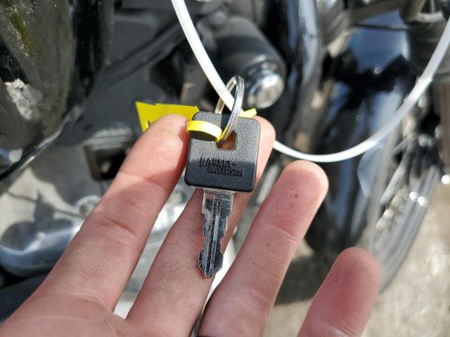 2009 HARLEY-DAVIDSON XL1200 N 1HD1CZ3179K449129