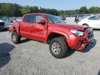 TOYOTA TACOMA DOU photo