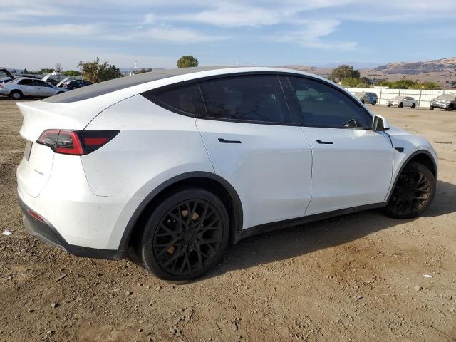 2023 TESLA MODEL Y - 7SAYGDEE6PF583151