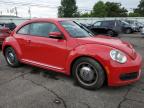 VOLKSWAGEN BEETLE photo