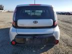 KIA SOUL + photo