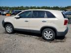 KIA SORENTO BA photo