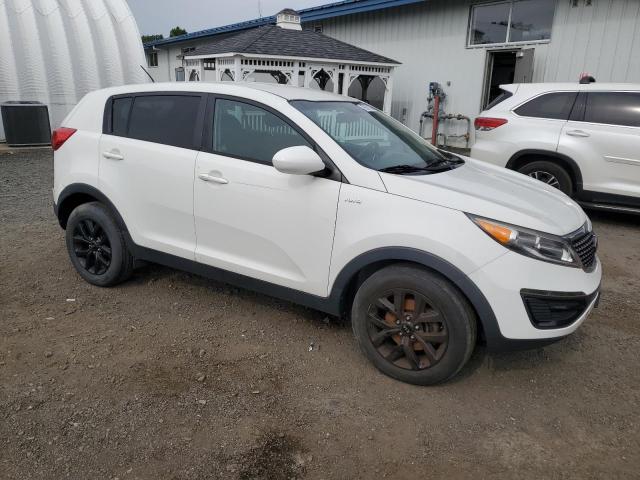 VIN KNDPBCAC7G7849367 2016 KIA Sportage, LX no.4