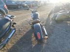 Lot #2938291717 2019 INDIAN MOTORCYCLE CO. SCOUT